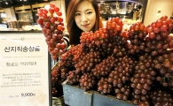 [포토]갤러리아百, 올해 첫 국내산 햇포도 출시