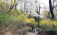 걷기 좋은 길, 동작구 고구동산길과 까치산길 