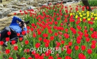 [포토]장흥군 '하늘빛 수목원'으로 튤립보러오세요
