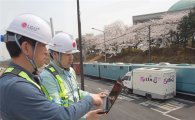 LGU+, 벚꽃 축제 대비 네트워크 최적화
