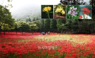 영광 불갑산 상사화, 야생화 관광자원화사업 선정