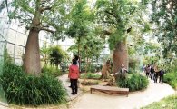 한택식물원 '봄꽃페스티벌' 열린다…4월18~5월17일