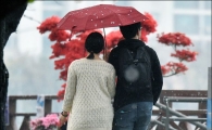 [포토]'벚꽃길'데이트