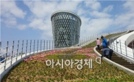 완도 해조류센터 봄맞이 꽃 단장~방문객 발길 이어져