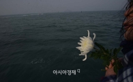 세월호 1주기 추모 행사 전국적으로 실시…"절대 잊지않을게"