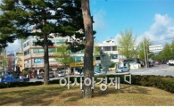 순천시, 소나무 예방주사 맞고 튼튼하게 자란다