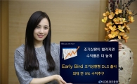 KDB대우證, 연 9% 수익 추구 DLS 판매