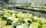 해남군, 명품 절임배추  만들기 앞장