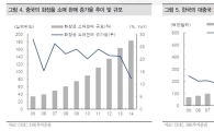 화장품산업, 단기 센세이션?…高성장의 아이콘 