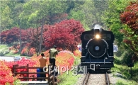 [포토]곡성 섬진강변 철쭉길 달리는 추억의 증기기관차