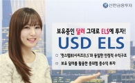 신한금융투자, 달러로 투자하는 USD ELS 공모