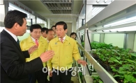 고구마 무병종순생산 ‘고창 제 2의 효자상품’박차