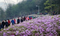 서초탄생 27주년 기념 서초구민 걷기대회