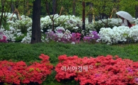 [포토]이른 아침부터 비...우산 쓴 시민들
