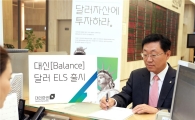 대신證, 달러로 투자하는 첫 공모 ELS 출시