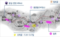 서울시, 5월 한강 봄꽃 나들이 코스 소개