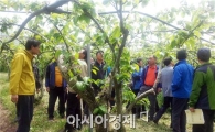 순천시, 배 최고품질 과실생산을 위한 현장컨설팅 개최