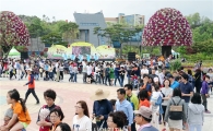 [포토]함평 나비생태관 가는 길 관광객들 북적