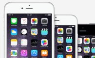 애플의 딜레마…'아이패드' 삼킨 '아이폰6+'