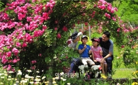 담양군 죽화경, 장미 정원축제 오는 23일 개막