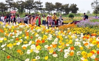 [포토]화사한 꽃과 나비가 반기는 함평나비축제