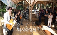 장흥 우드랜드 편백숲과 힐링음악의 아름다운 어울림···