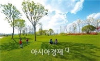 순천만정원 야외웨딩 커플 한정 접수