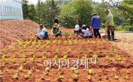 순천시, 도시농업 체험학습원의 ‘텃밭 정원’가꾸기