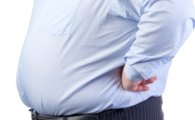 [건강을 읽다]"비만, 정말 만병의 원인인가요?"