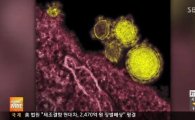 메르스 3차 감염·사망자 발생…복지부 "지역사회 확산 아냐"