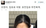 조현아 '집행유예' 석방…진중권 "유전집유 무전복역" 돌직구
