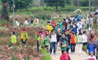 [포토]막바지 봄을 만끽하는 관광객들