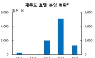 제주도 분양형 호텔 급부상…관광객 줄면 수익성↓ 우려