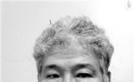 전남대 허진 교수, 2015 DAF단야국제아트페어 한국구상작가상 수상