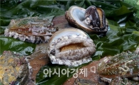 완도전복주식회사 이익급증 - 2년연속 주식배당
