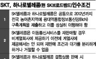 옛 하나로텔의 저주? SKT '100% 자회사' 제동