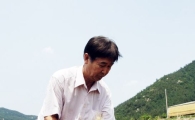 해남군, 우리밀 재배 전남 44%, 전국 18% 