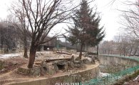 낡은 서울대공원, '첨단 놀이공원·동물 천국'으로 
