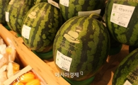 초록마을, 식품안전관리시스템 '초록개런티' 출범