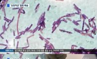 주한미군, '보툴리눔' 실험 의혹…탄저균 독성 10만배
