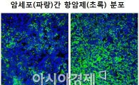 삼양바이오팜, 美 컴플리먼트사로 종양 침투촉진 기술 도입 