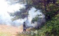 순천시, 소나무재선충병 2차 지상 방제 실시