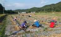 나주시, 농번기 맞아 ‘농촌 일손돕기’ 나서