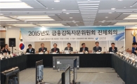 금융감독자문위 "금융개혁 필요성 공감"