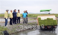 해남 마산 뜬섬 108ha 전 지역 친환경 벼 재배