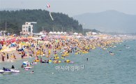 구명보트 無·'동네 주민' 안전요원…전국 해수욕장 안전 '구멍'