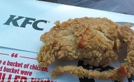 "치킨 시켰더니 '튀긴 쥐'가 통째로"…진실은?