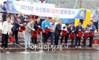 영광군, 연안해역에 '넙치(광어)'종묘 방류
