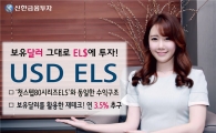 신한금융투자, 연 3.5%수익추구 미국 달러 ELS 공모 