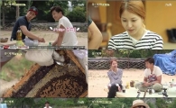 '삼시세끼' 보아 '민낯'에 시청률 ↑…'최고 11.5%'
